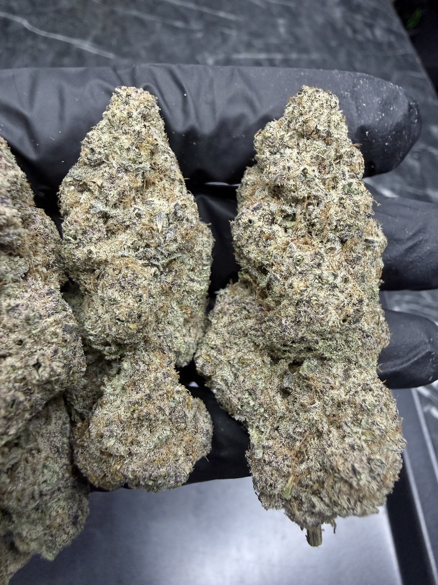 Devil Cherries By. Tiki Madman THC 25-32% ð - Image 3