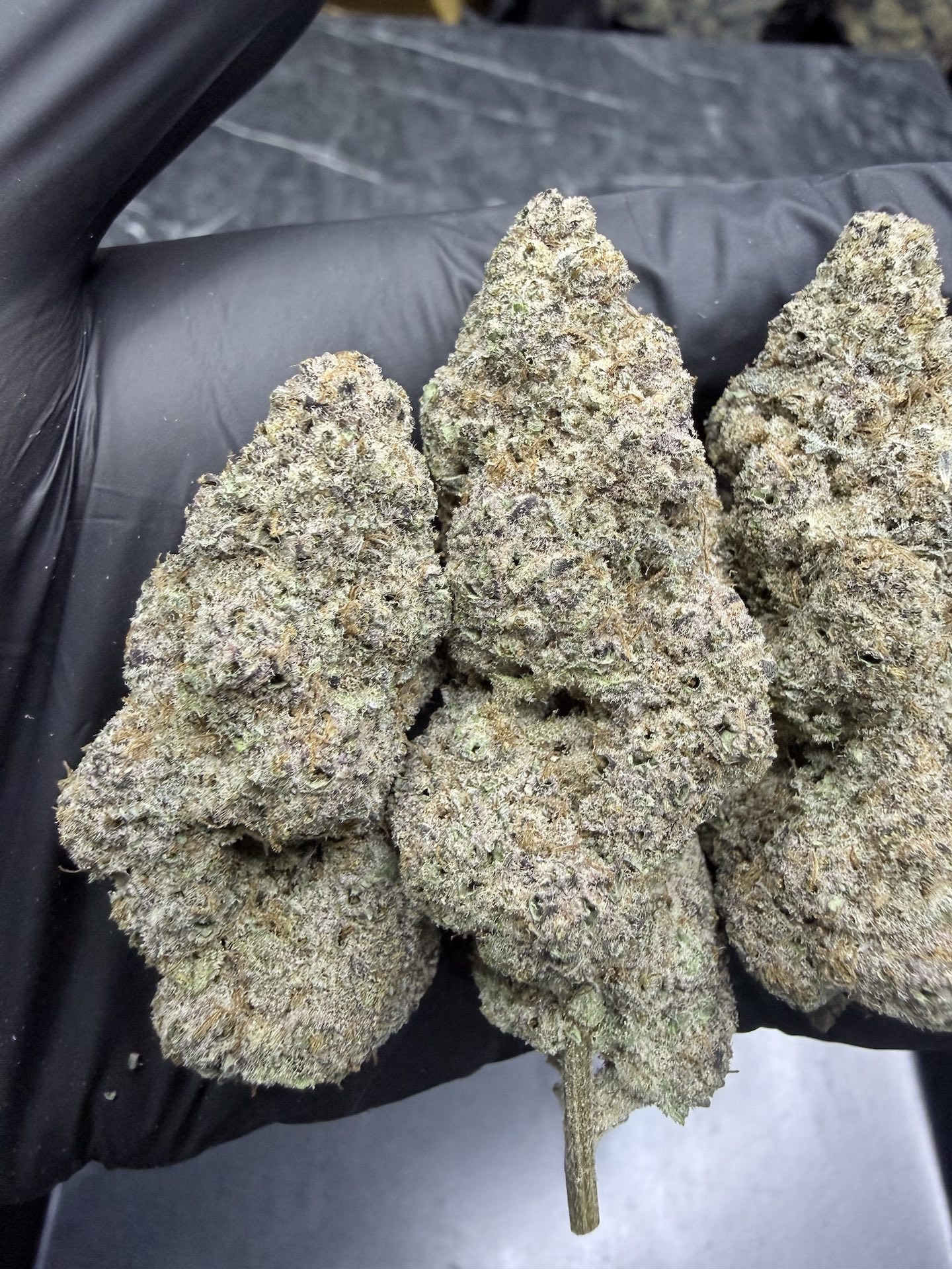 Devil Cherries By. Tiki Madman THC 25-32% ð - Image 4