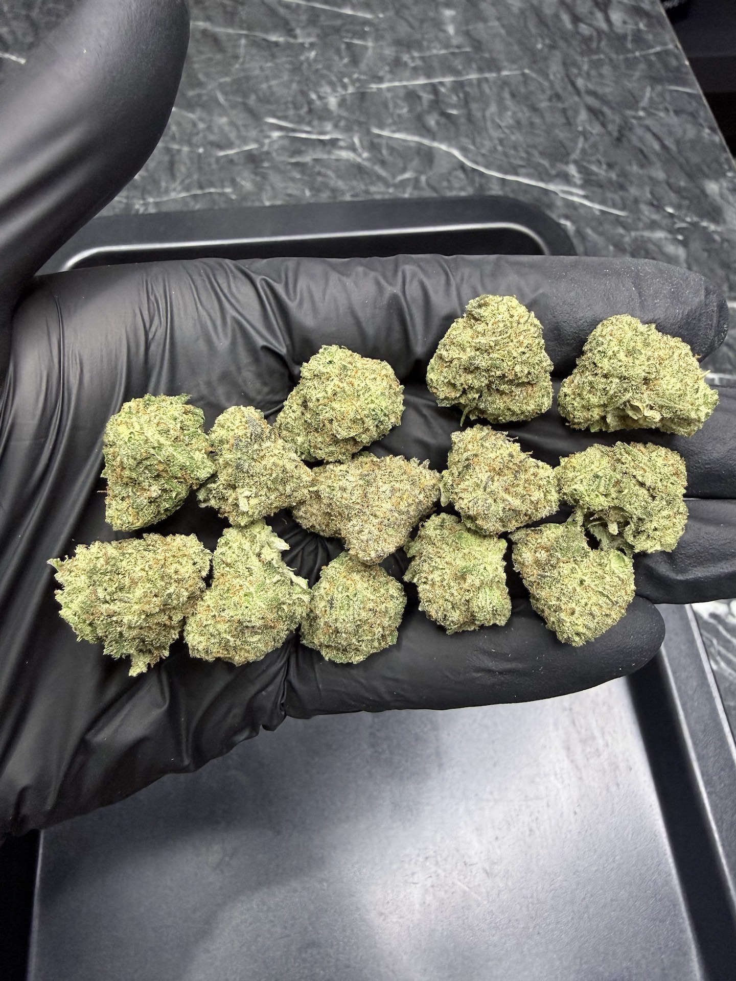 Rollins By. Swamp Boy Seeds THC 25-30% ð - Image 2