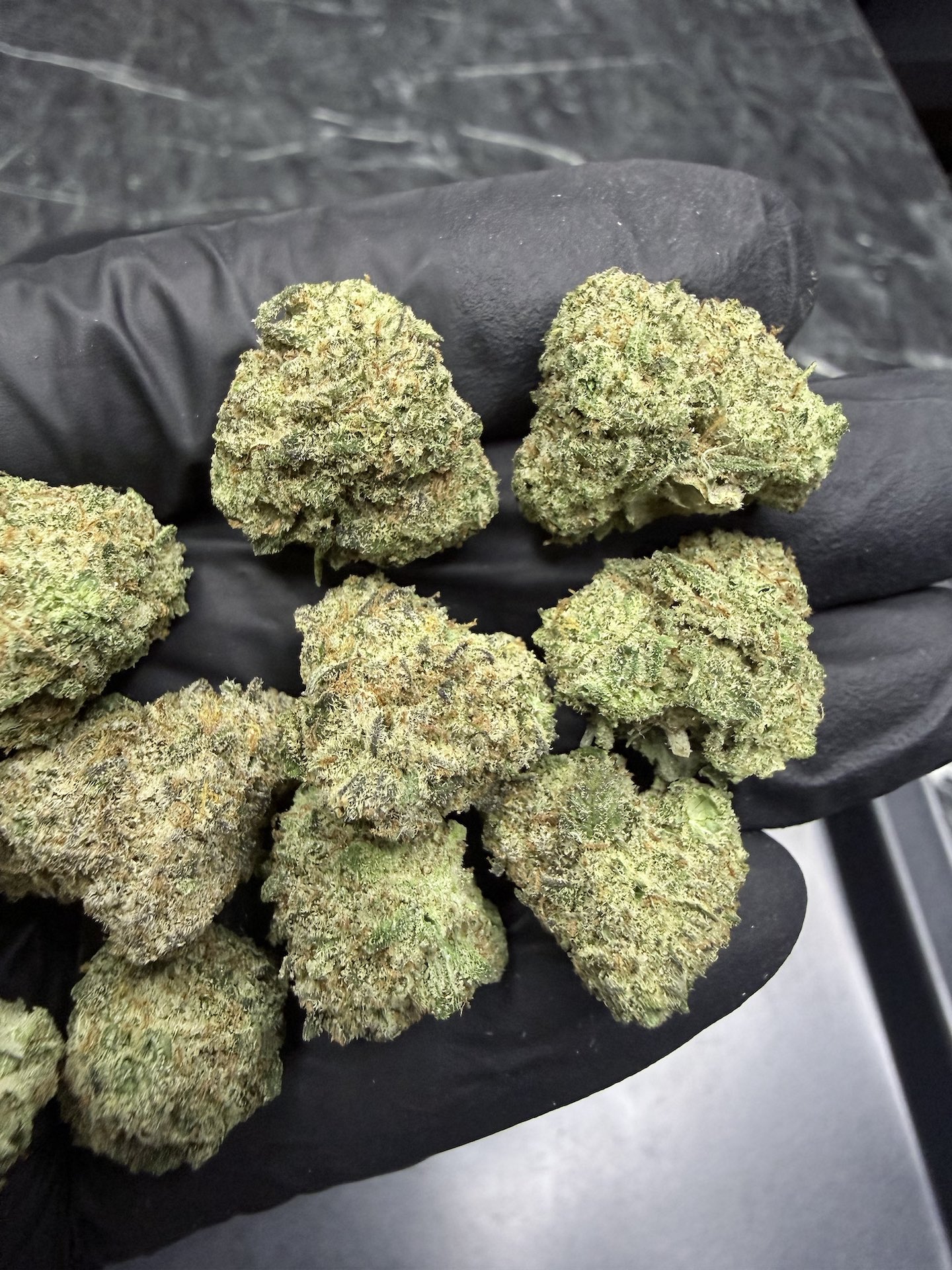 Rollins By. Swamp Boy Seeds THC 25-30% ð - Image 3