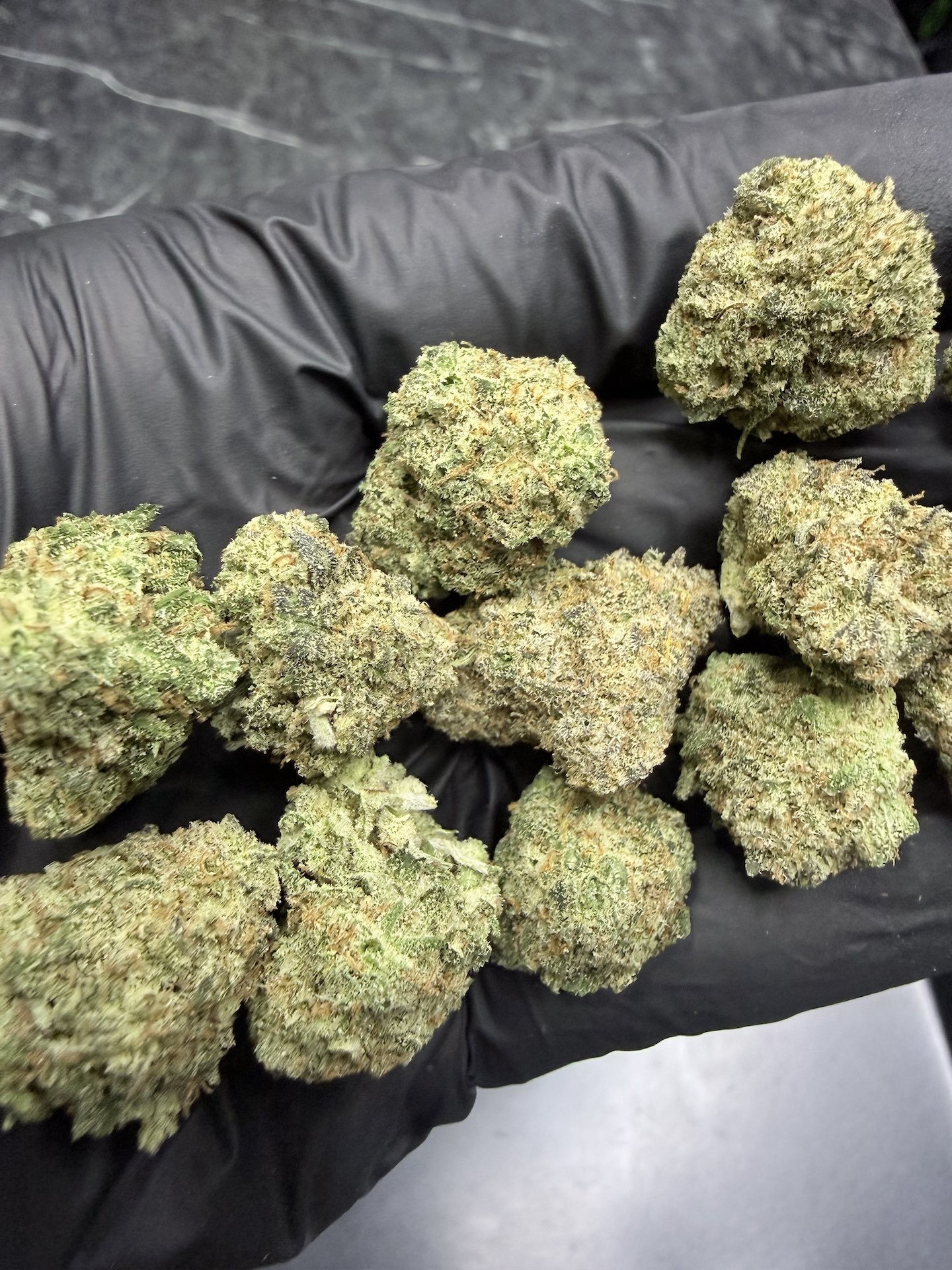 Rollins By. Swamp Boy Seeds THC 25-30% ð - Image 4