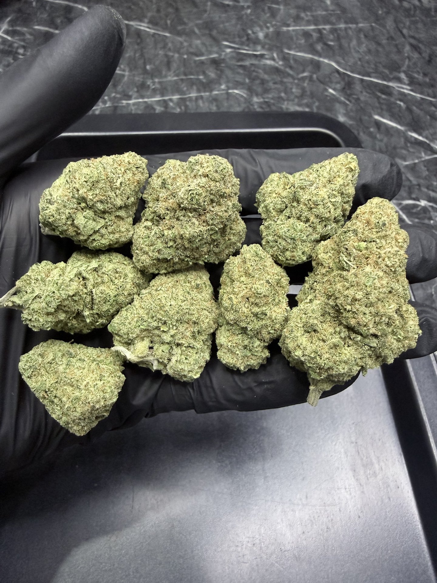 Super Lemon Haze By. Green House Seeds THC 25-30% ð - Image 2