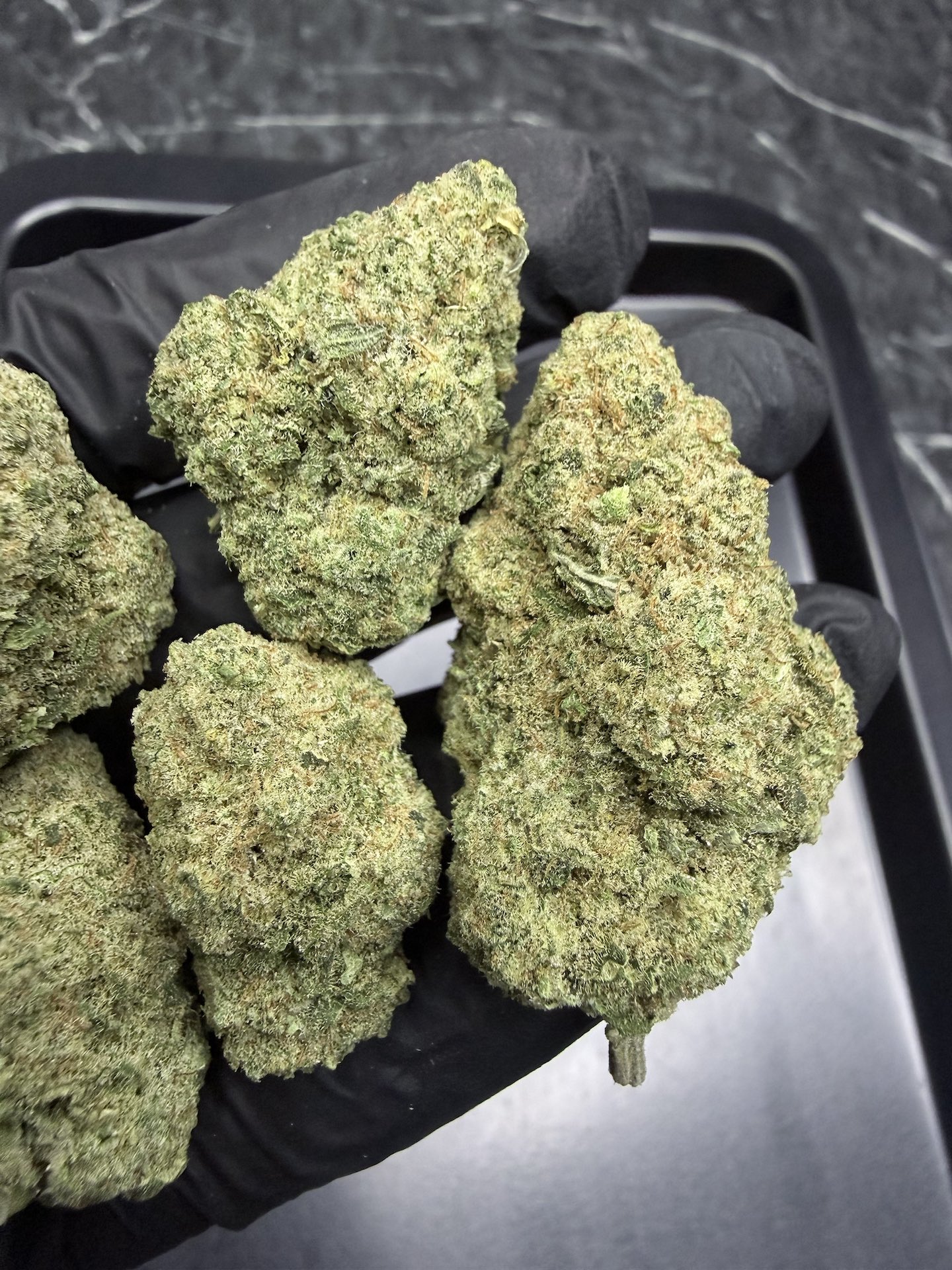 Super Lemon Haze By. Green House Seeds THC 25-30% ð - Image 3