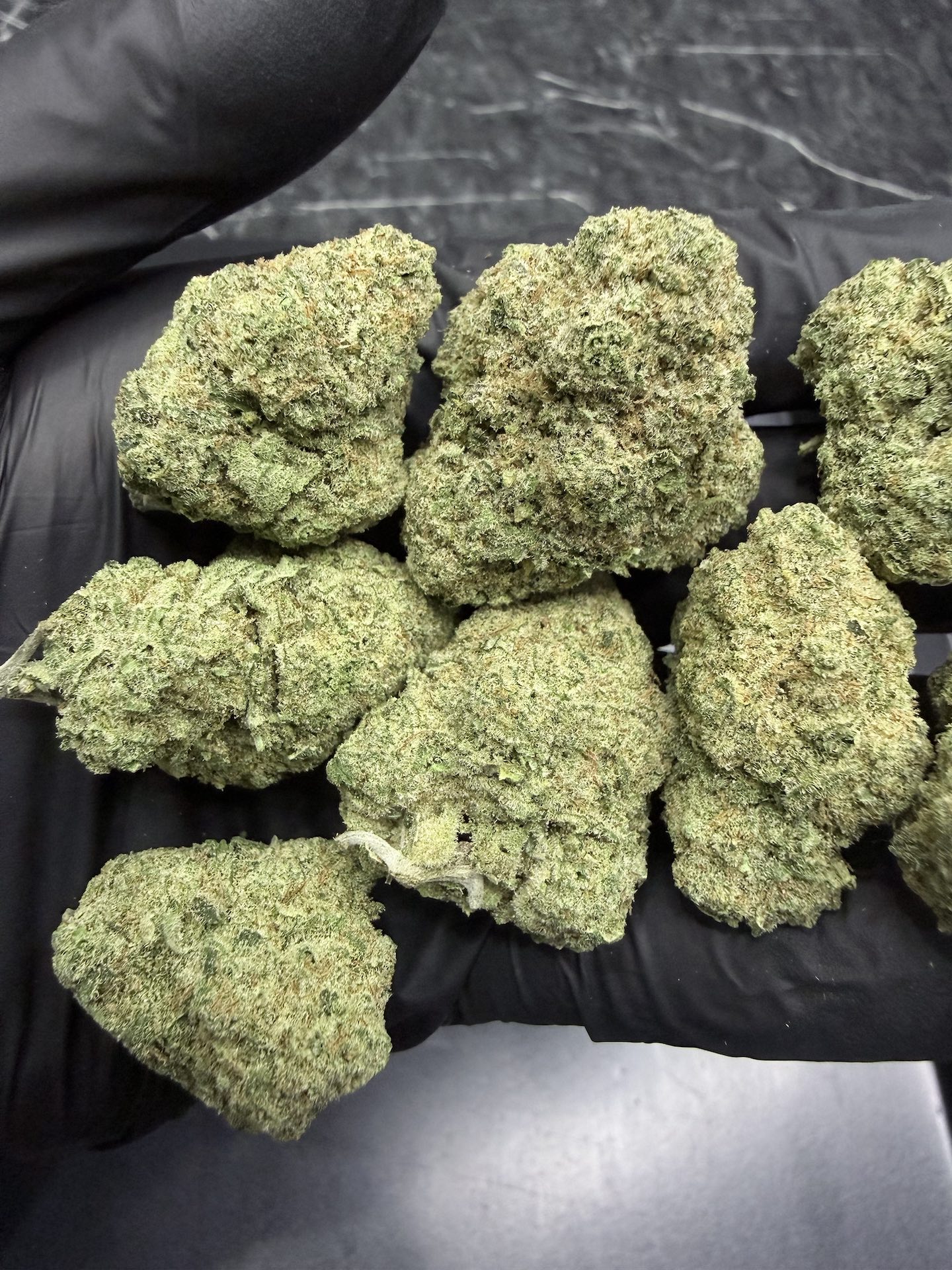 Super Lemon Haze By. Green House Seeds THC 25-30% ð - Image 4