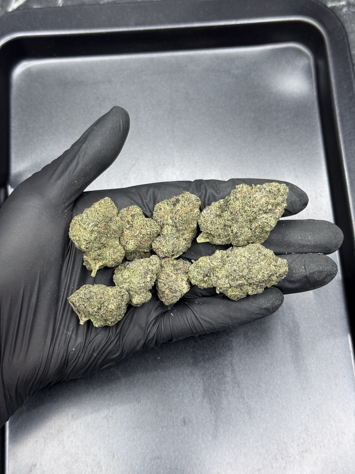 Greasy Runtz By. Exotic Genetix THC 25-30% ð - Image 2