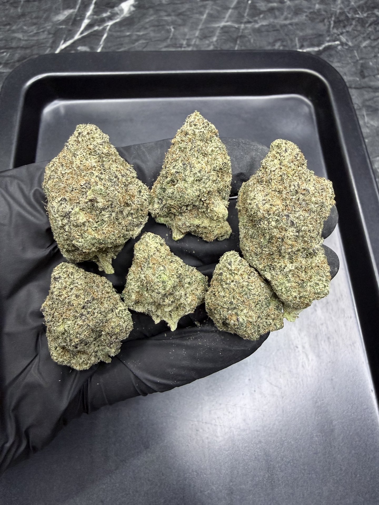 Orange Sherbert By. Barney's Farm THC 25-30% ð - Image 3