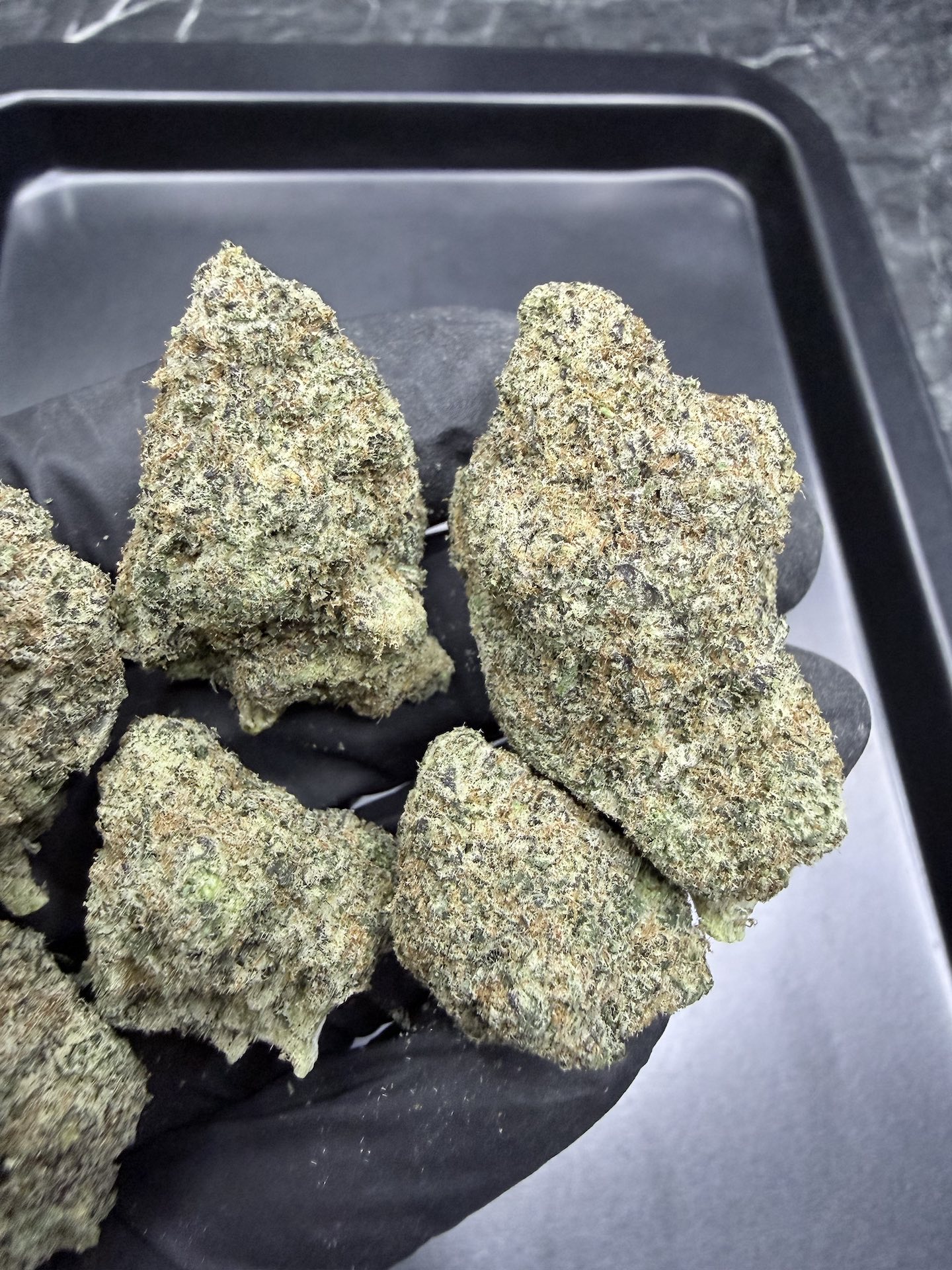 Orange Sherbert By. Barney's Farm THC 25-30% ð - Image 4