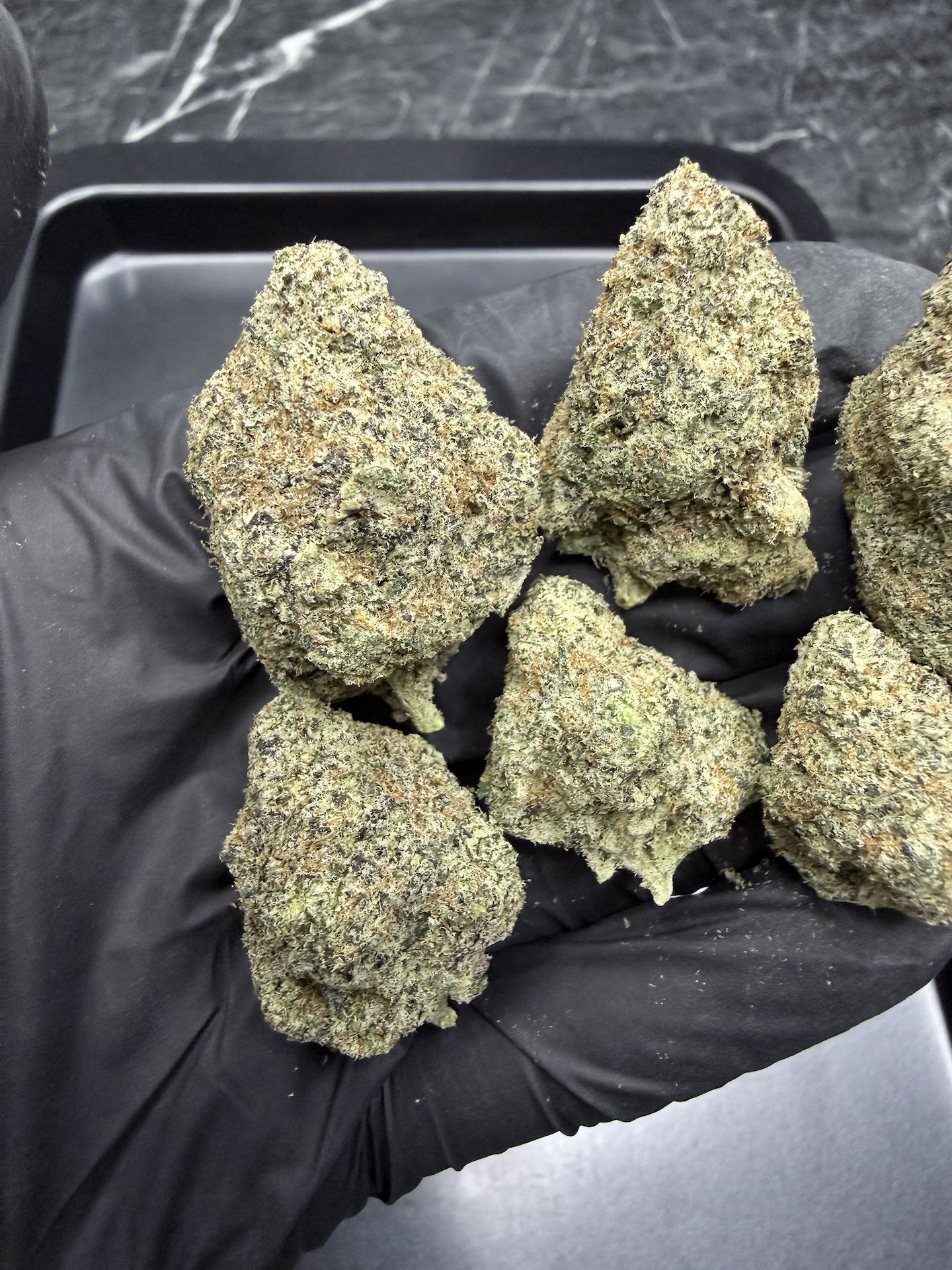 Orange Sherbert By. Barney's Farm THC 25-30% ð - Image 5