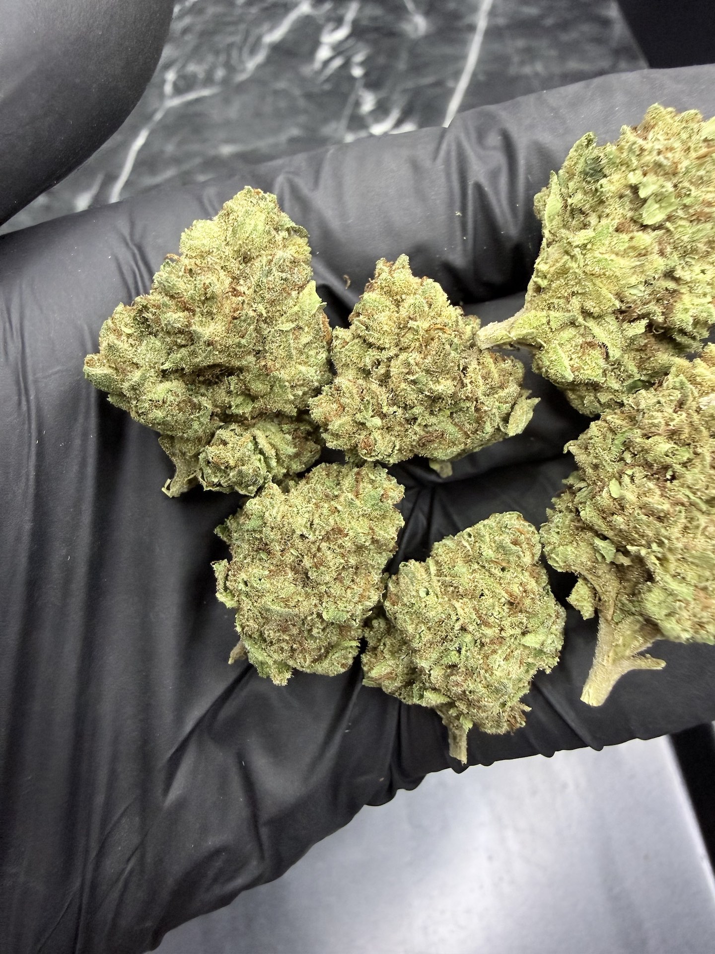 London Marker THC 25%+ ðļ - Image 5
