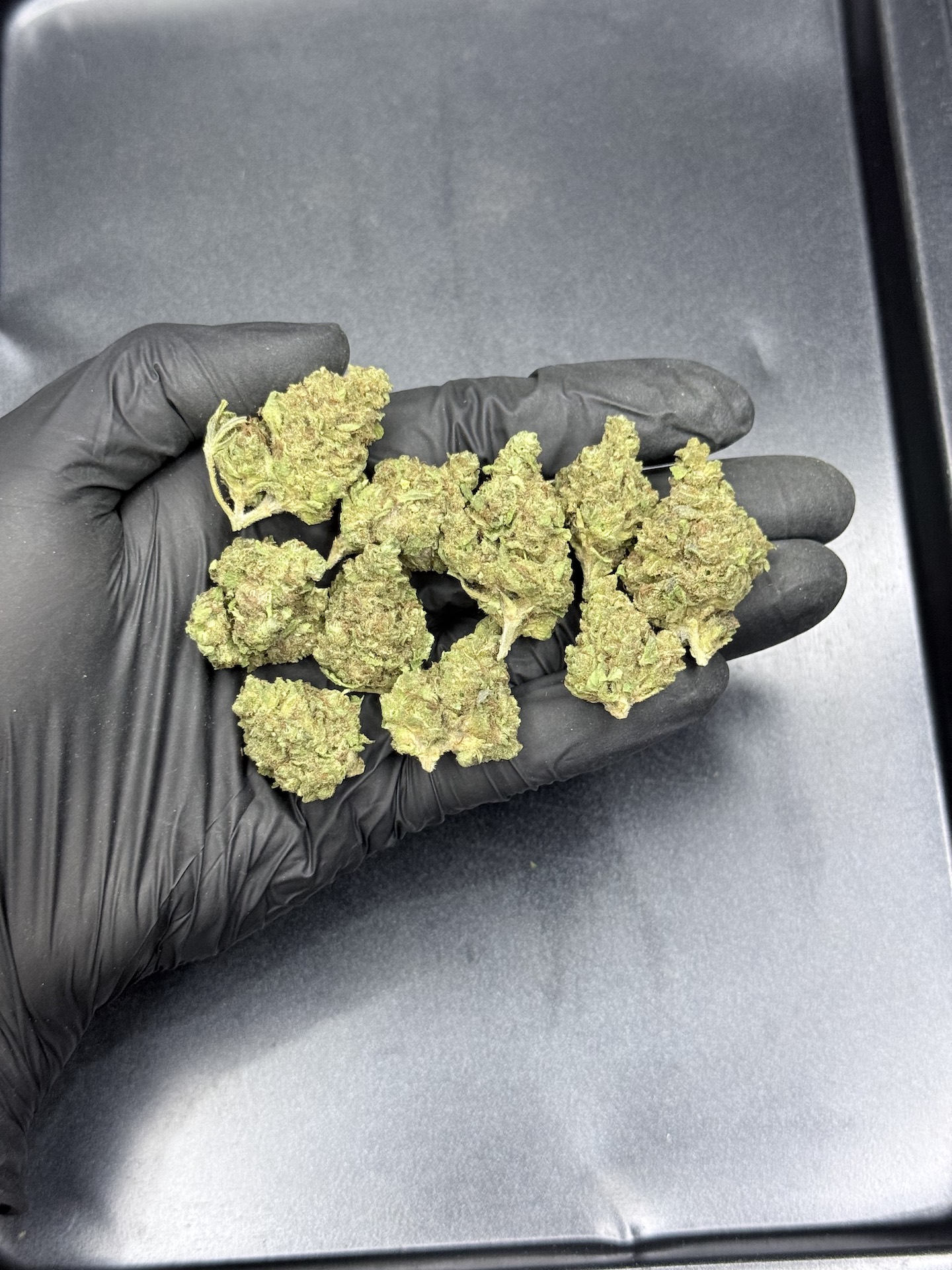GMO Cookies THC 25%+ ðļ - Image 2