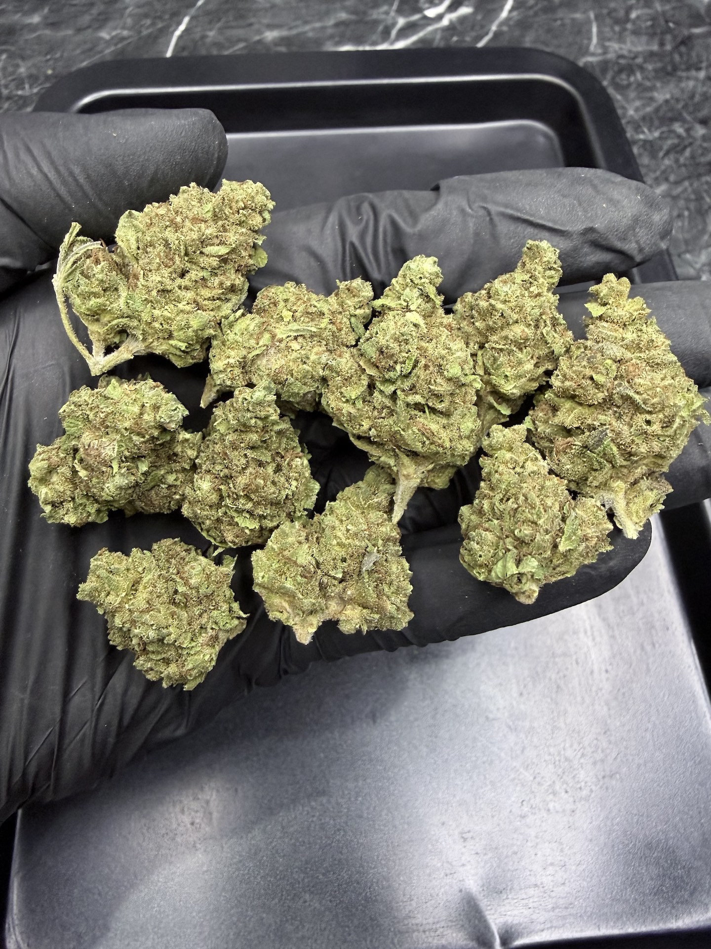 GMO Cookies THC 25%+ ðļ - Image 3