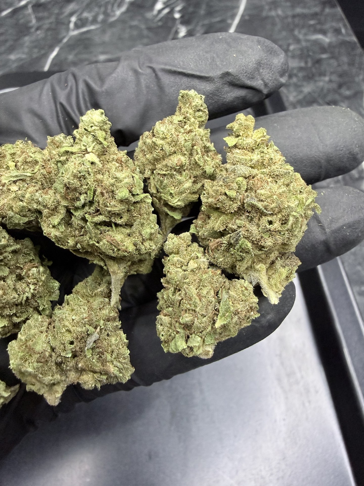GMO Cookies THC 25%+ ðļ - Image 4