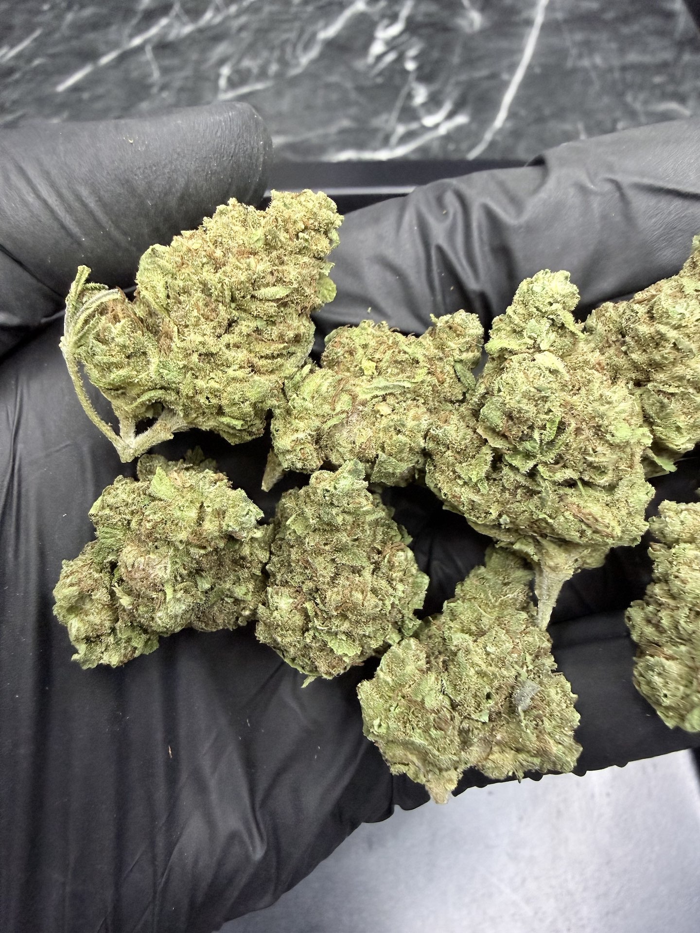 GMO Cookies THC 25%+ ðļ - Image 5