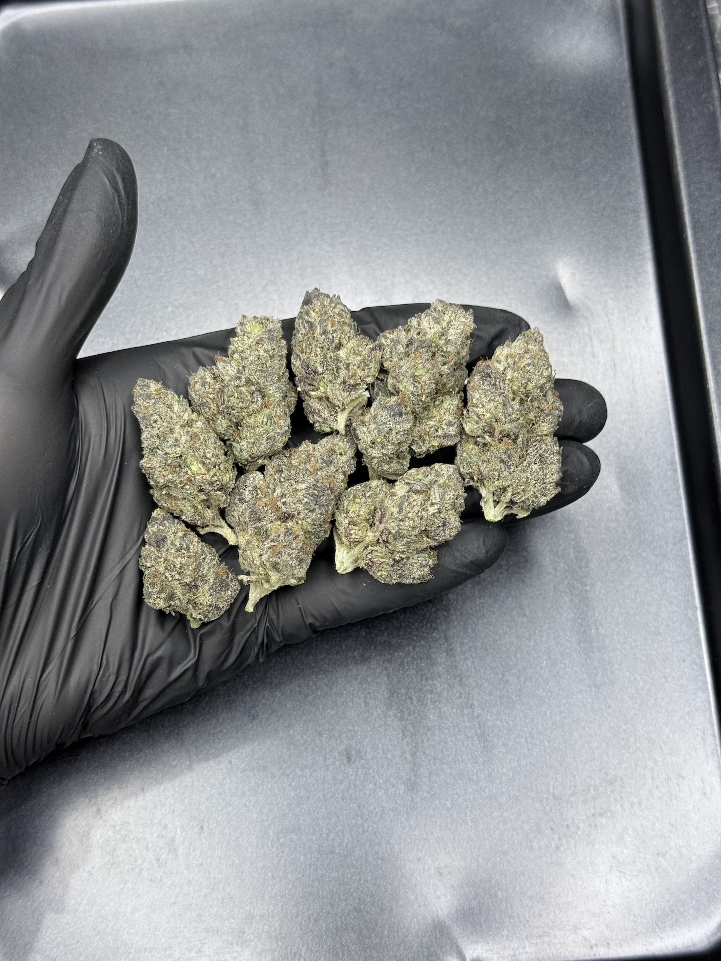 Garlic Cookies By. Barney's Farm THC 30%+ ð - Image 2
