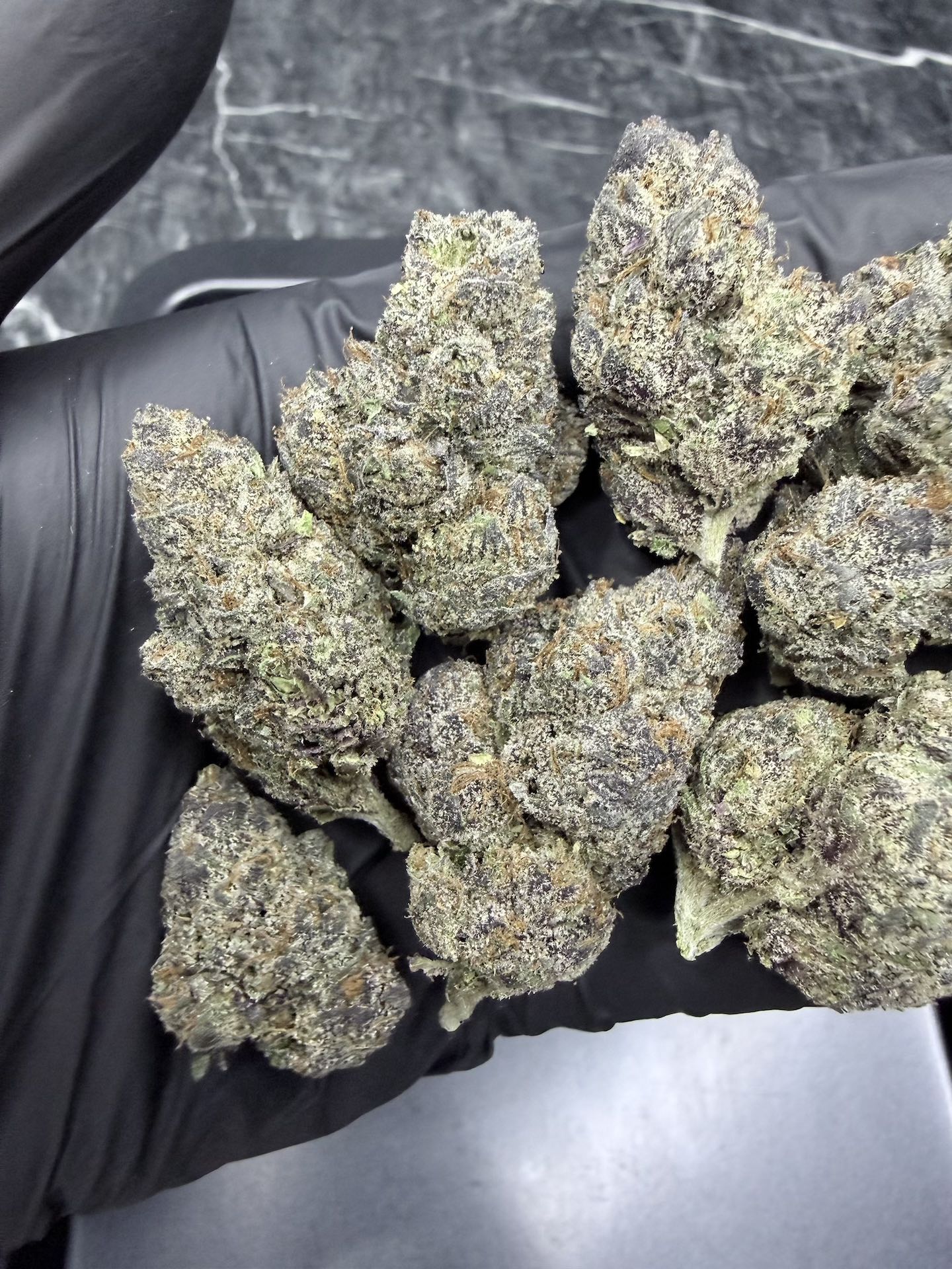 Garlic Cookies By. Barney's Farm THC 30%+ ð - Image 5