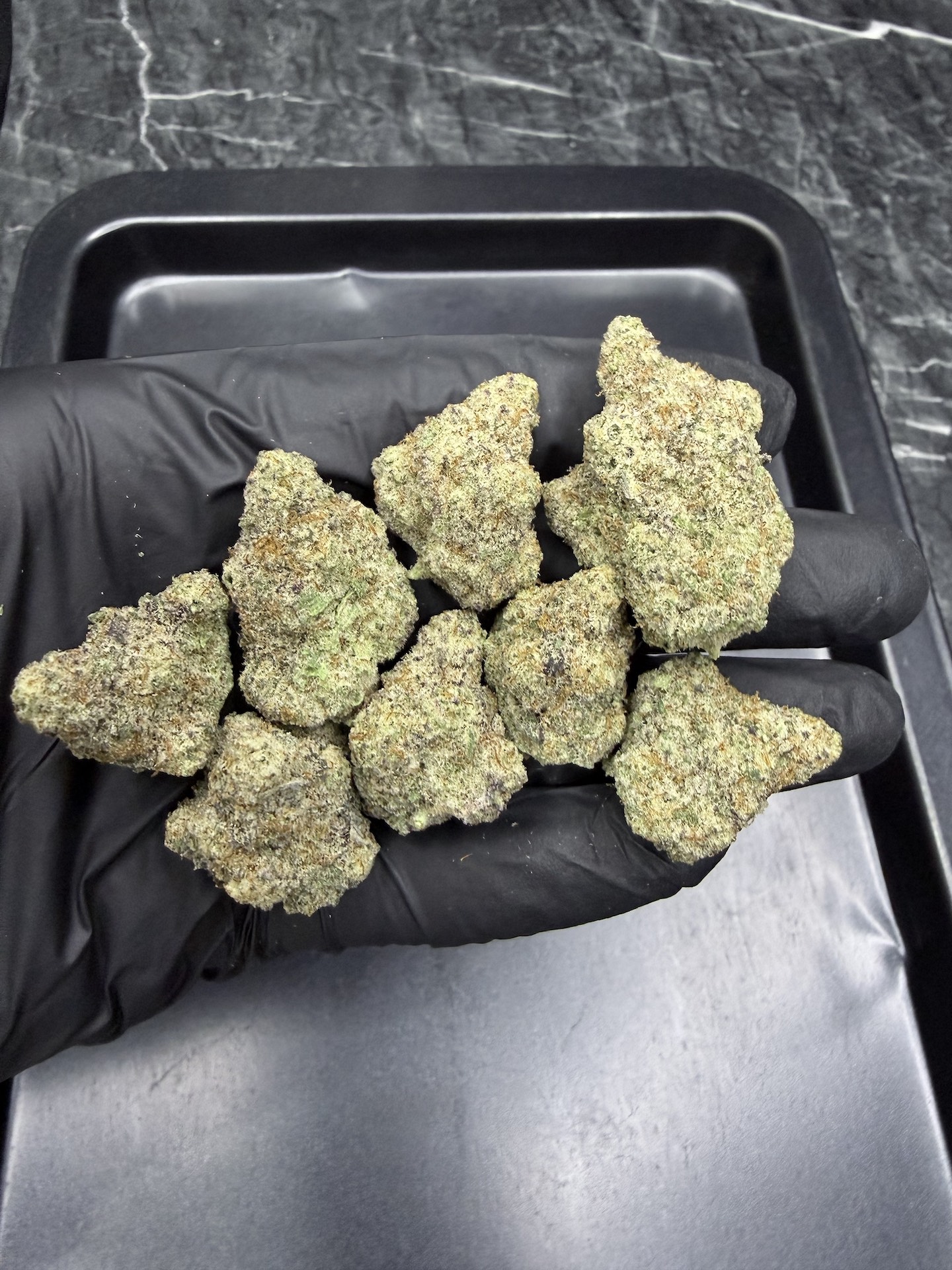 MAC 1 By. Capulator Seeds THC 25-30% ð - Image 3