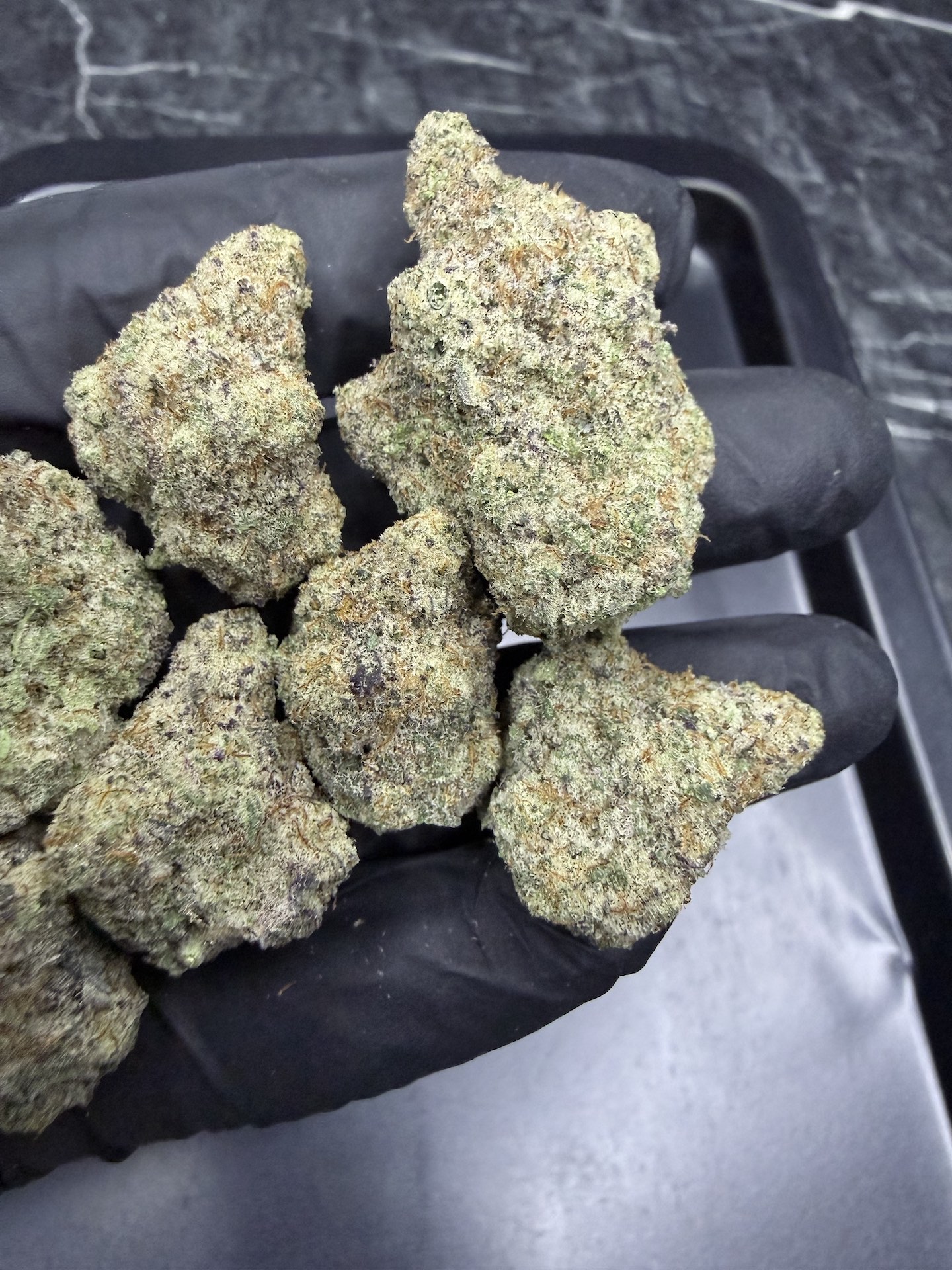 MAC 1 By. Capulator Seeds THC 25-30% ð - Image 4