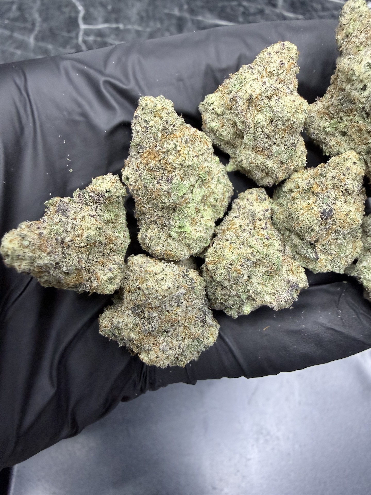 MAC 1 By. Capulator Seeds THC 25-30% ð - Image 5