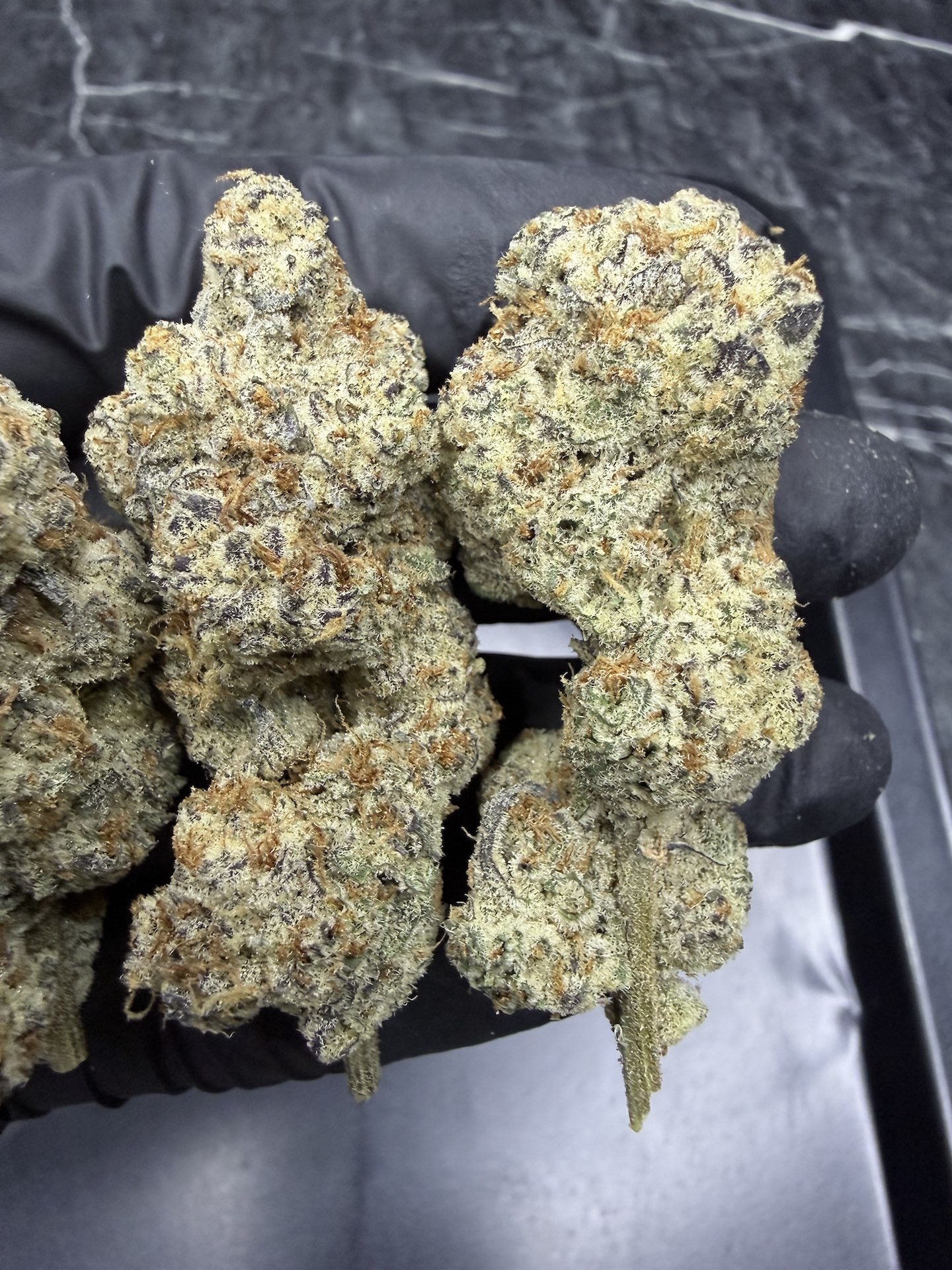 Dante's Inferno By. Tiki Madman THC 27-32% ð - Image 4