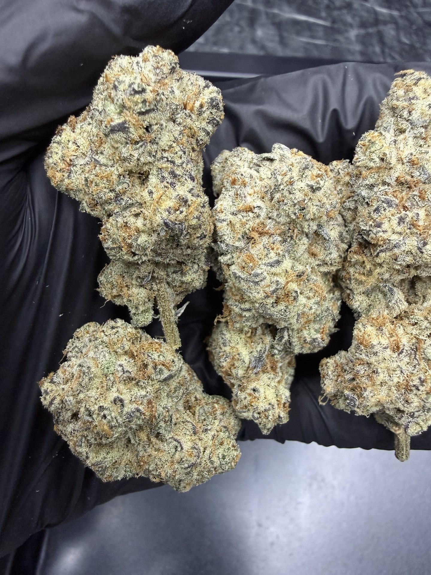 Dante's Inferno By. Tiki Madman THC 27-32% ð - Image 5