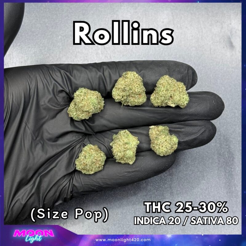 Rollins By. Swamp Boy Seeds THC 25-30% 🚀