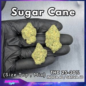 Sugar Cane  By. In House Genetics THC 25-30% 🚀