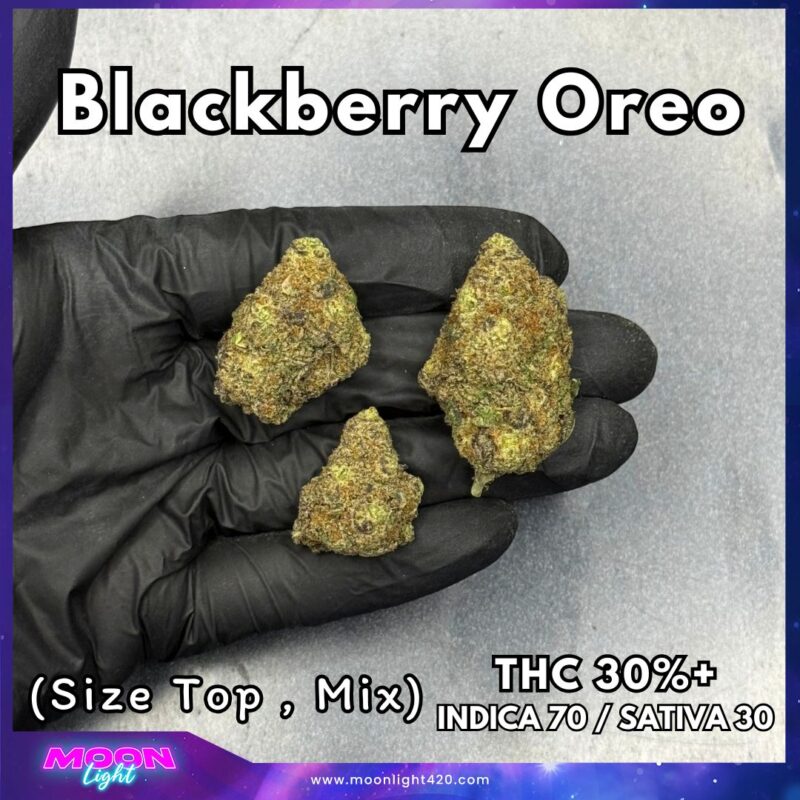 Blackberry Oreo By. Copycat Genetix THC 30%+ 🚀