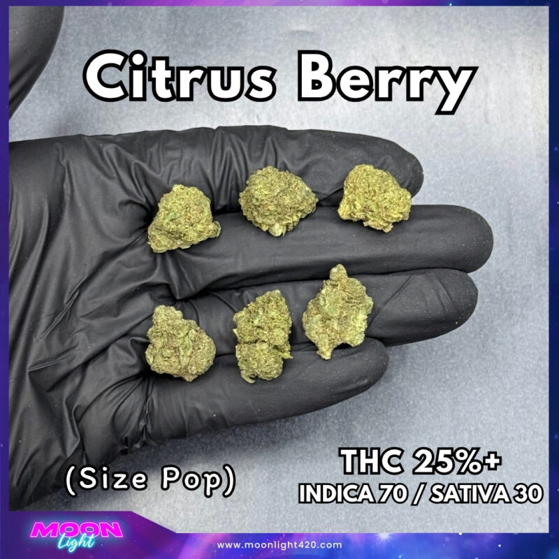 Citrus Berry  THC 25%+ 🛸