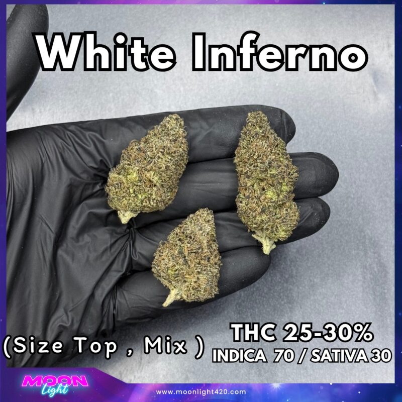 White Inferno By. Beleaf Cannabis THC 25-30% 🚀