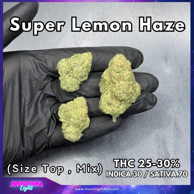 Super Lemon Haze  By. Green House Seeds THC 25-30% 🚀