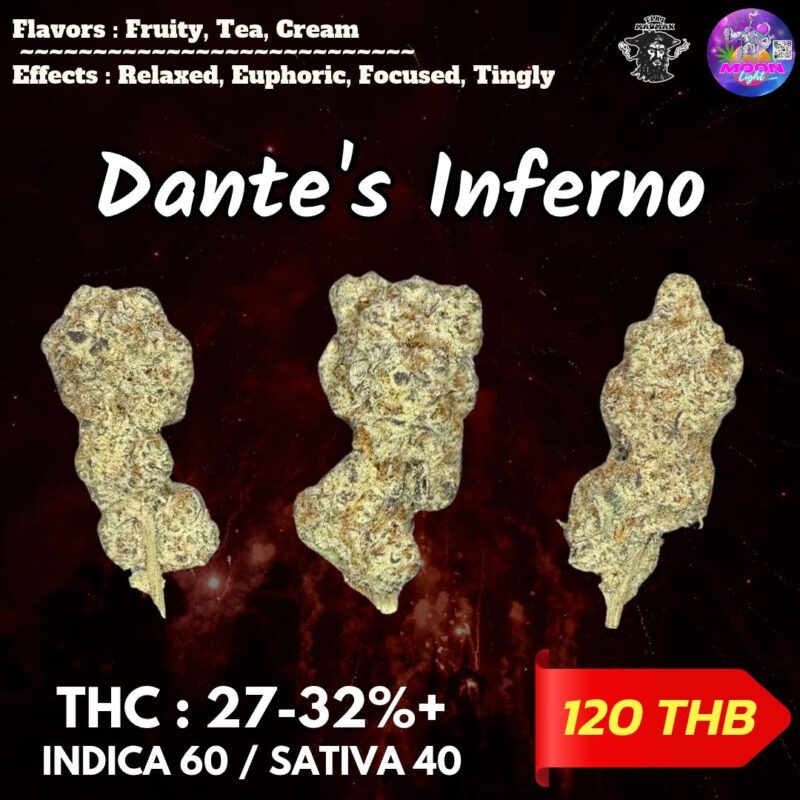 Dante's Inferno By. Tiki Madman THC 27-32% 🌕