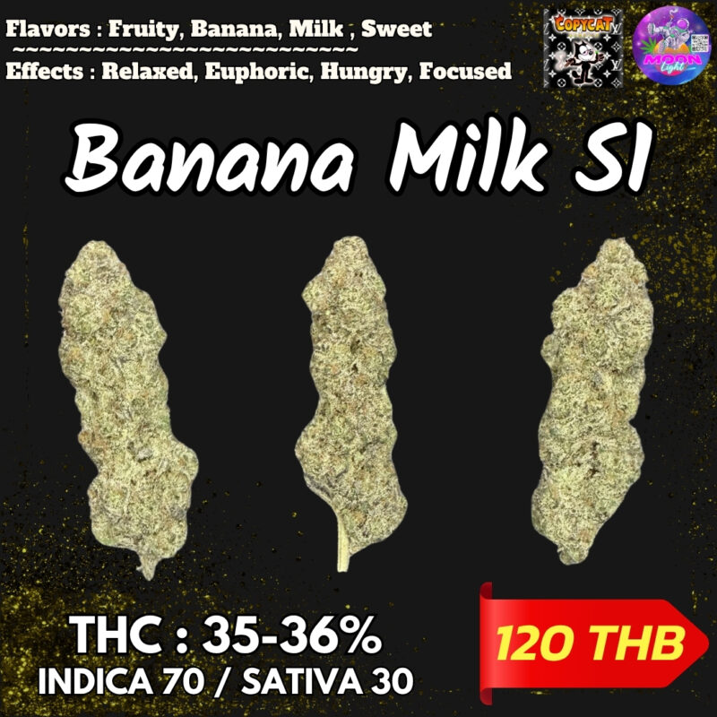 Banana Milk S1 By. Copycat Genetix THC 35-36% 🌕