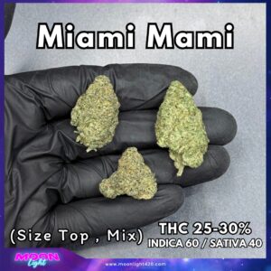 Miami Mami By. Solfire Gardens THC 25-30% 🚀