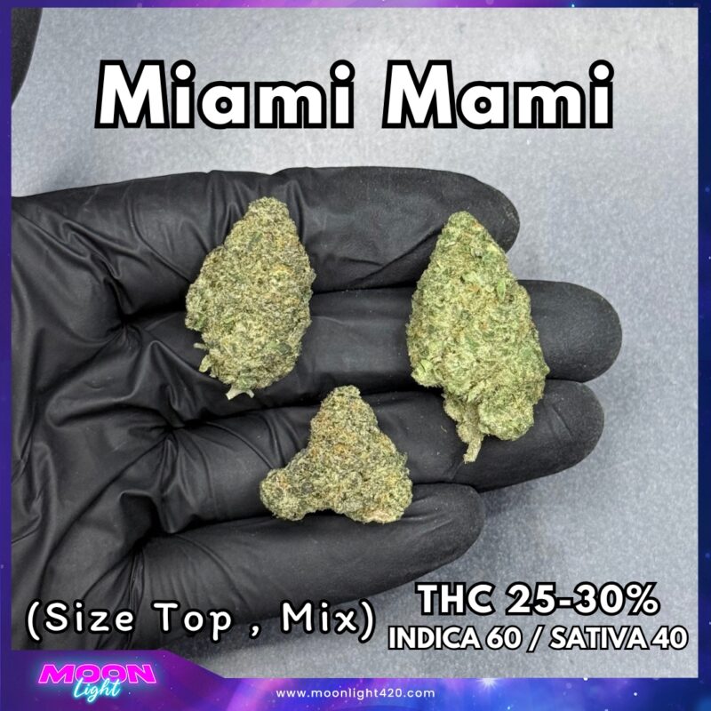Miami Mami By. Solfire Gardens THC 25-30% 🚀